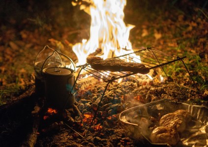 NOTTE Survival - il nostro potenziale, 2 giorni!